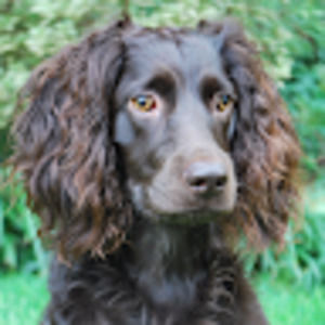 Meet your Posher, Louise